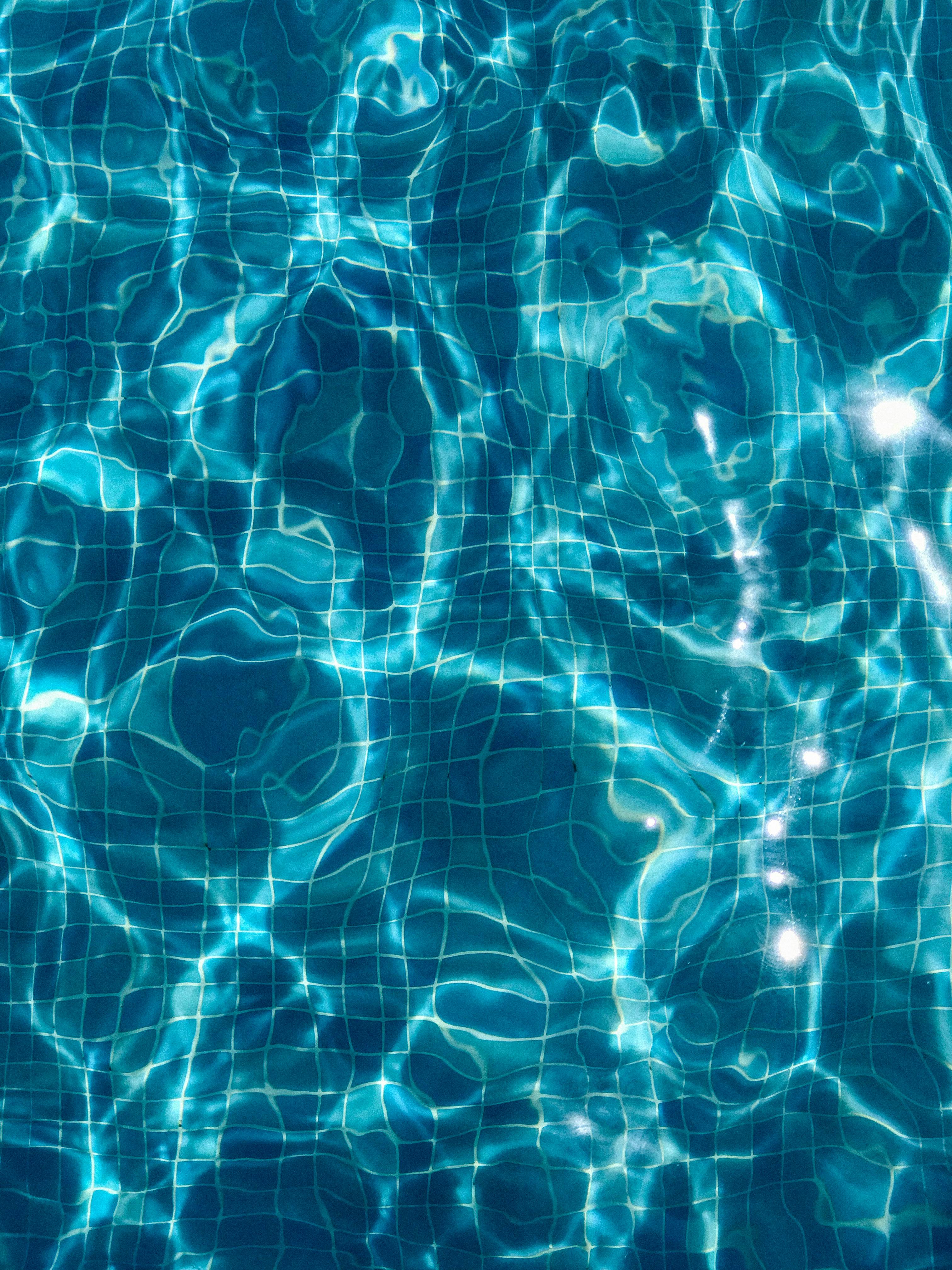 Commercial swimming pool facility maintained for guests and residents